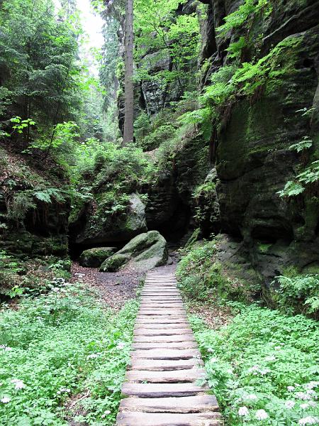 2010-06-12, Uttewalder Grund (35).jpg
